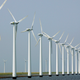 Wind turbines stand clustered offshore in Dronten, the Netherlands. (Image: AP)